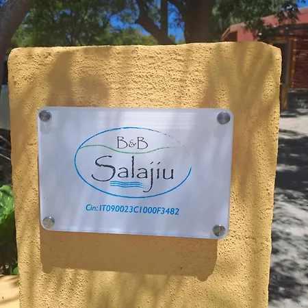 Salaju Penzion *