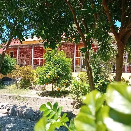 Salaju Penzion